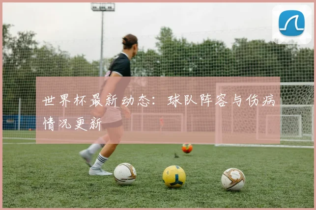 世界杯最新动态:球队阵容与伤病情况更新