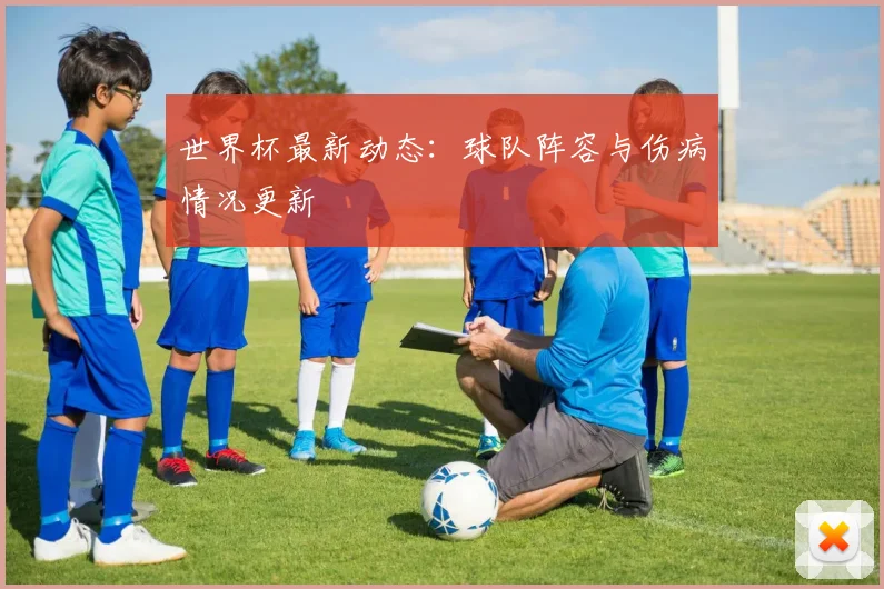 世界杯最新动态:球队阵容与伤病情况更新